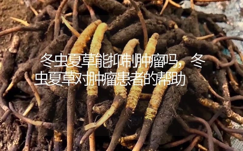 冬蟲夏草能抑制腫瘤嗎？冬蟲夏草對腫瘤患者的幫助