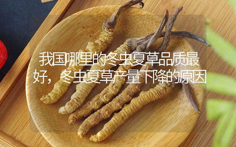 我國(guó)哪里的冬蟲夏草品質(zhì)最好，冬蟲夏草產(chǎn)量下降的原因