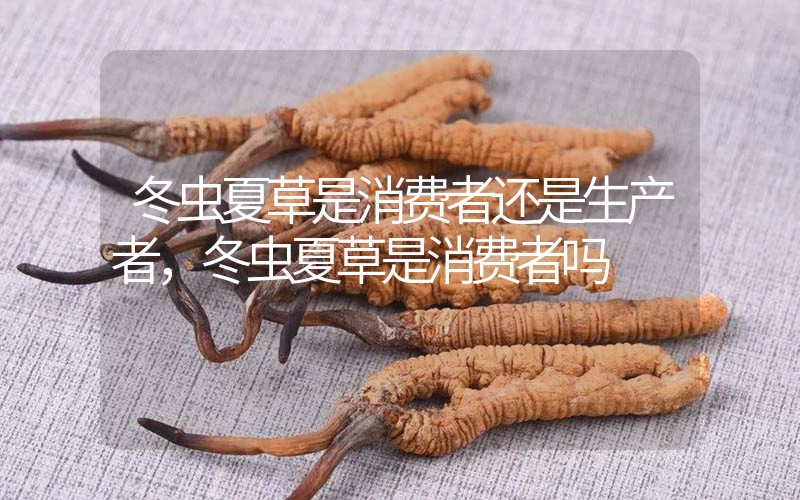 貧血吃冬蟲夏草有效果嗎，貧血虛弱者可以用冬蟲夏草嗎？