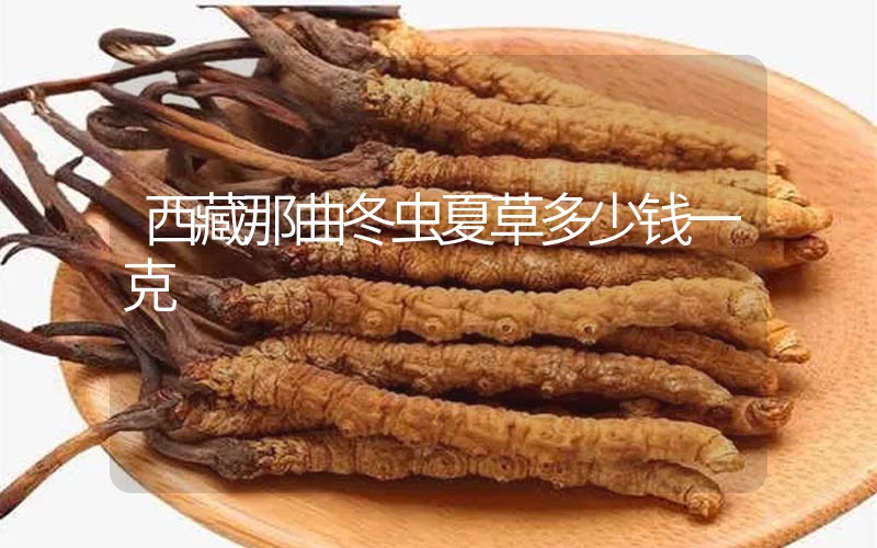 西藏那曲冬蟲夏草多少錢一克？