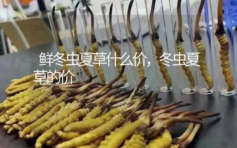 鮮冬蟲夏草什么價(jià)，冬蟲夏草的價(jià)格