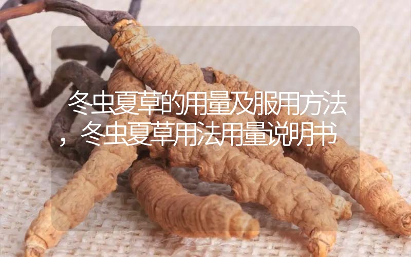 冬蟲(chóng)夏草的用量及服用方法，冬蟲(chóng)夏草用法用量