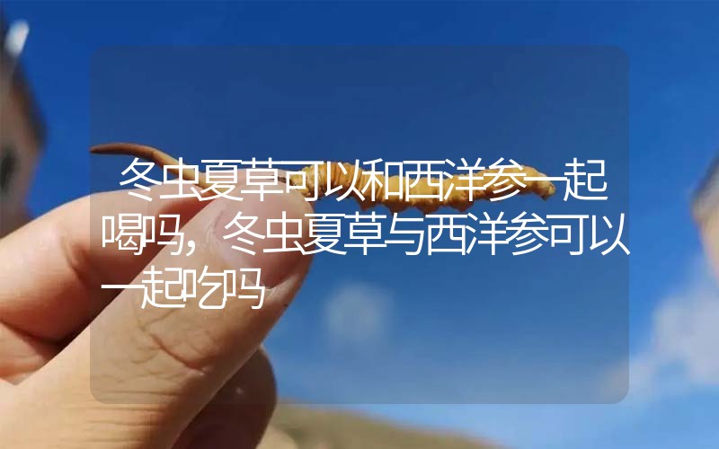 冬蟲夏草可以和西洋參一起喝嗎，冬蟲夏草與西洋參可以一起吃嗎