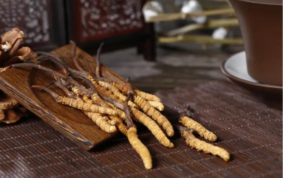 冬蟲夏草有補腎養(yǎng)虛嗎？