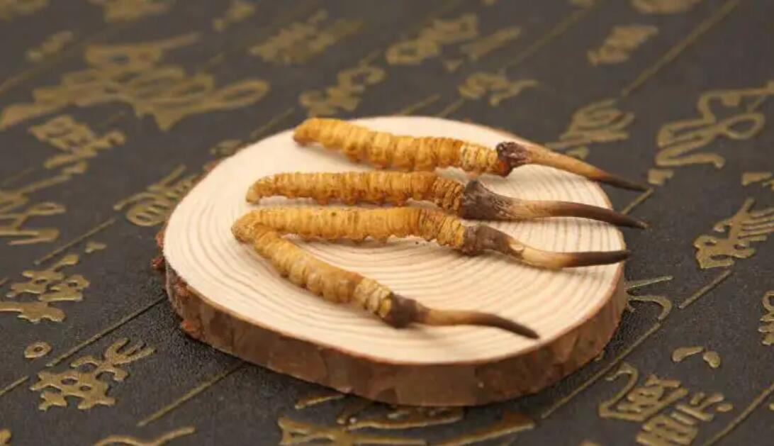 冬蟲夏草怎么吃作用比較好？冬蟲夏草如何吃效果好？