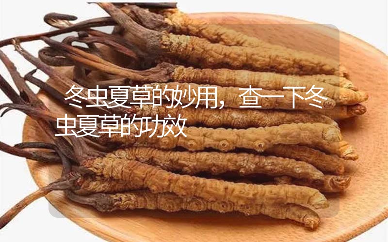 冬蟲夏草對身體的好處，冬蟲夏草對什么有好處