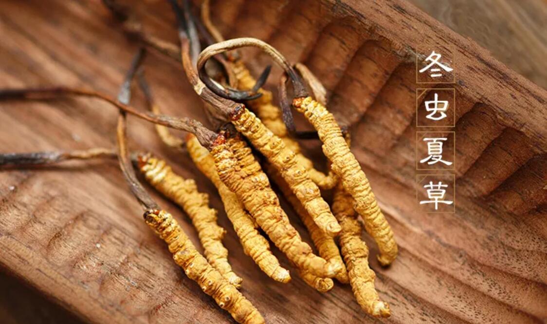 那曲冬蟲夏草止咳平喘的神奇之處！