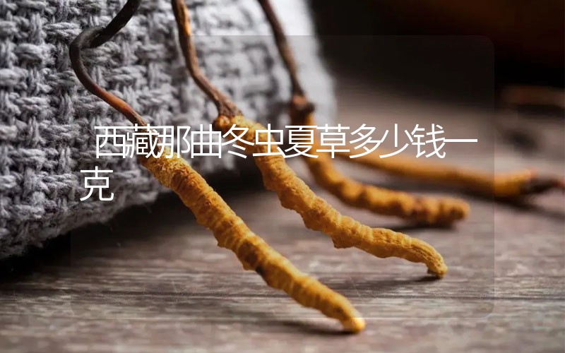西藏那曲冬蟲夏草多少錢一克？
