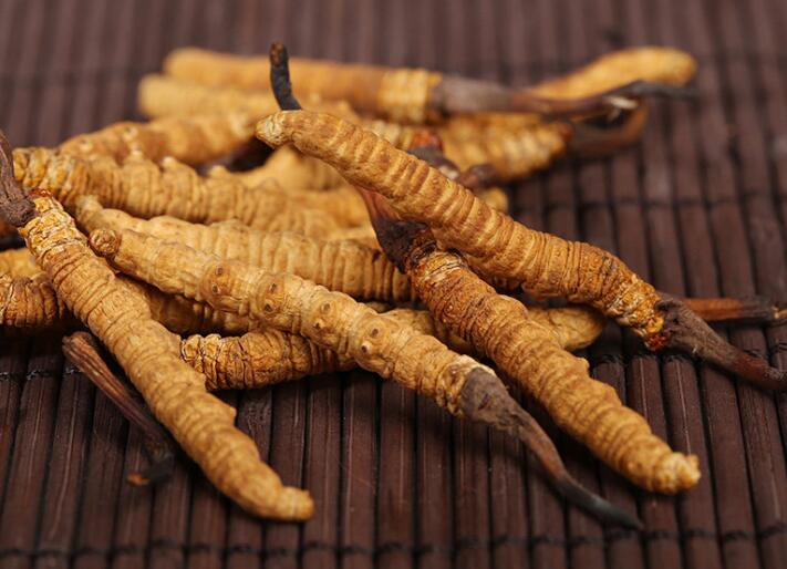 什么樣的冬蟲夏草算是優(yōu)質(zhì)的？
