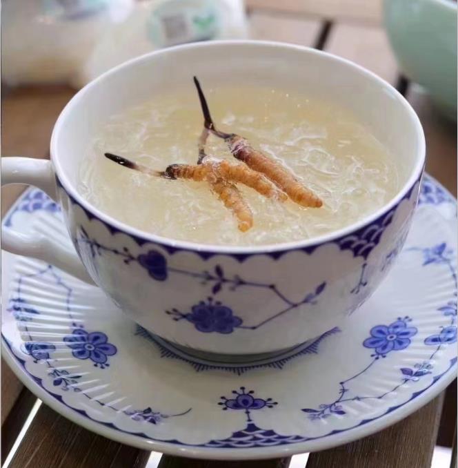 養(yǎng)生小竅門：冬蟲夏草燉什么好喝？