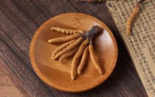 通過(guò)氣味來(lái)鑒別新鮮冬蟲(chóng)夏草的真假