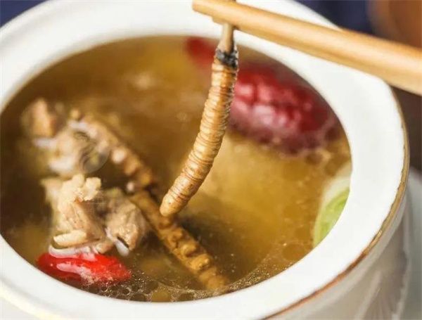 冬蟲夏草和金鯧魚搭配一起的吃法