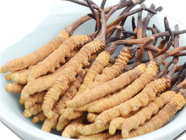 兒童可以吃冬蟲夏草嗎？生長(zhǎng)發(fā)育階段不建議長(zhǎng)期食用冬蟲夏草