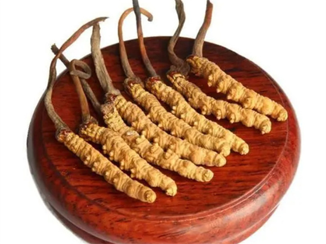 冬蟲(chóng)夏草燉湯，這樣做才更鮮美滋補(bǔ)