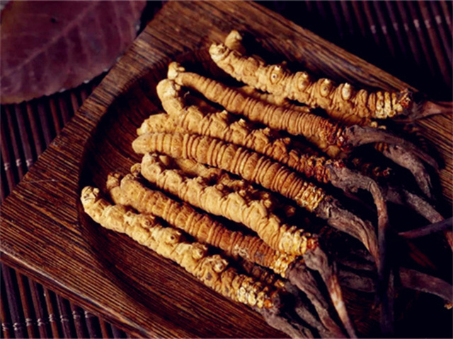 枸杞加冬蟲(chóng)夏草泡水喝，滋補(bǔ)養(yǎng)生效果翻倍