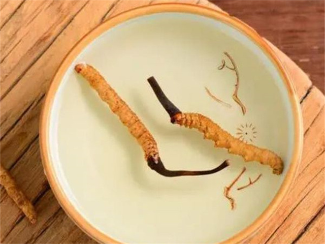 何時食用冬蟲夏草最好？適合食用冬蟲夏草的6大人群