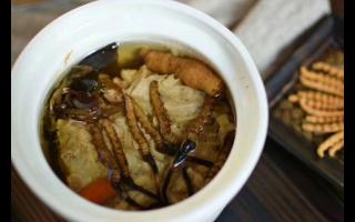 冬蟲夏草怎么食用？解鎖滋補(bǔ)養(yǎng)生的正確打開方式