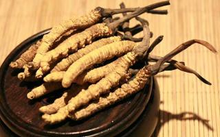 冬蟲夏草的價格一克：為何如此昂貴？