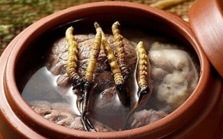 冬蟲夏草燉排骨 | 滋補(bǔ)養(yǎng)生的家常做法