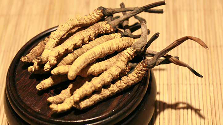 如何辨別真假冬蟲夏草