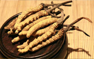 未來冬蟲夏草會(huì)漲價(jià)嗎？