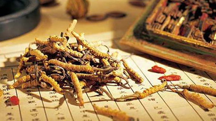 同仁堂健康冬蟲夏草：傳承品質(zhì)，饋贈健康