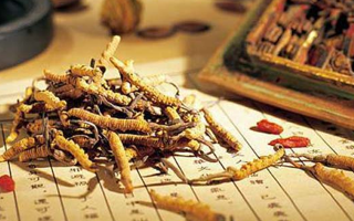 同仁堂健康冬蟲夏草：傳承品質(zhì)，饋贈健康