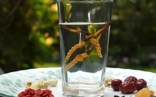 冬蟲夏草鮮品泡酒：養(yǎng)生佳釀還是健康隱患？